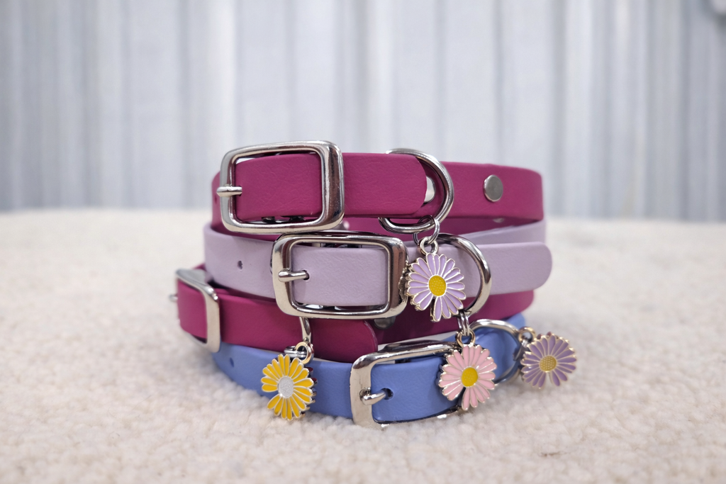 Essential Dog Collar