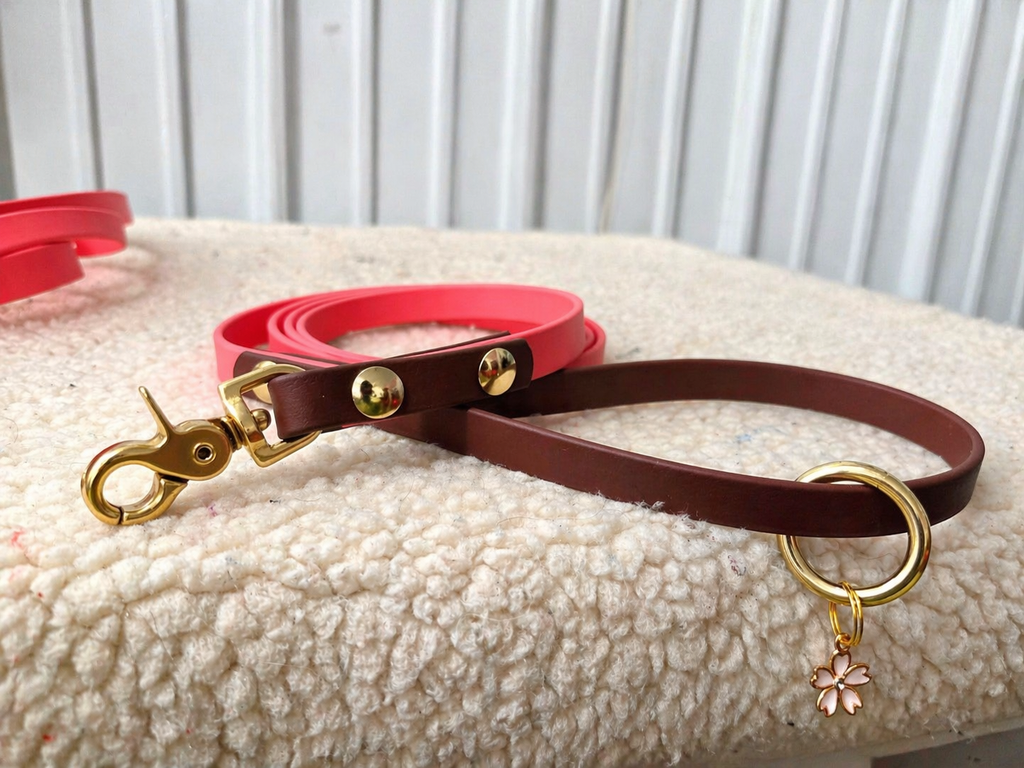 Every Day Leash