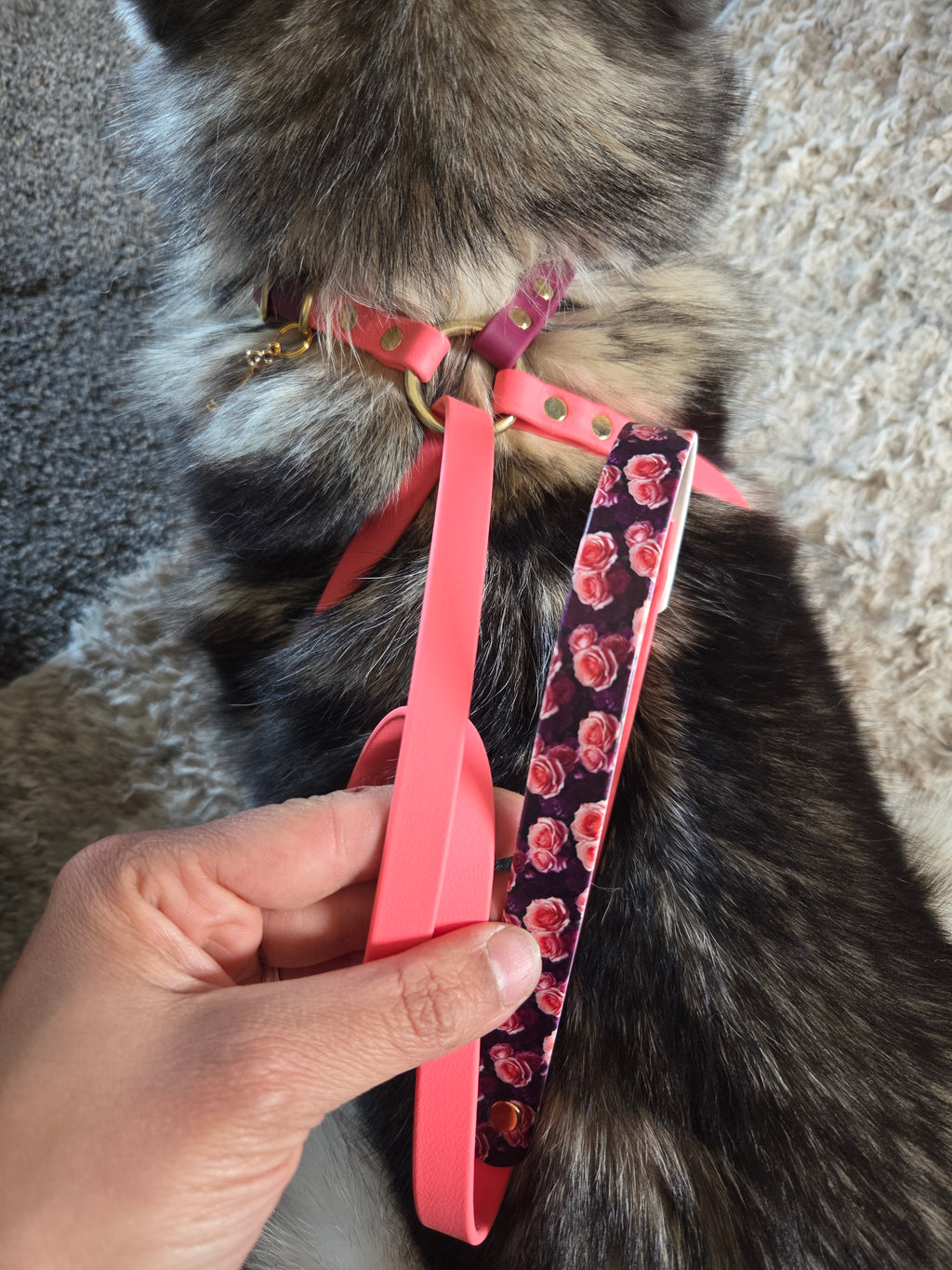 X Control Harness & Leash Combo