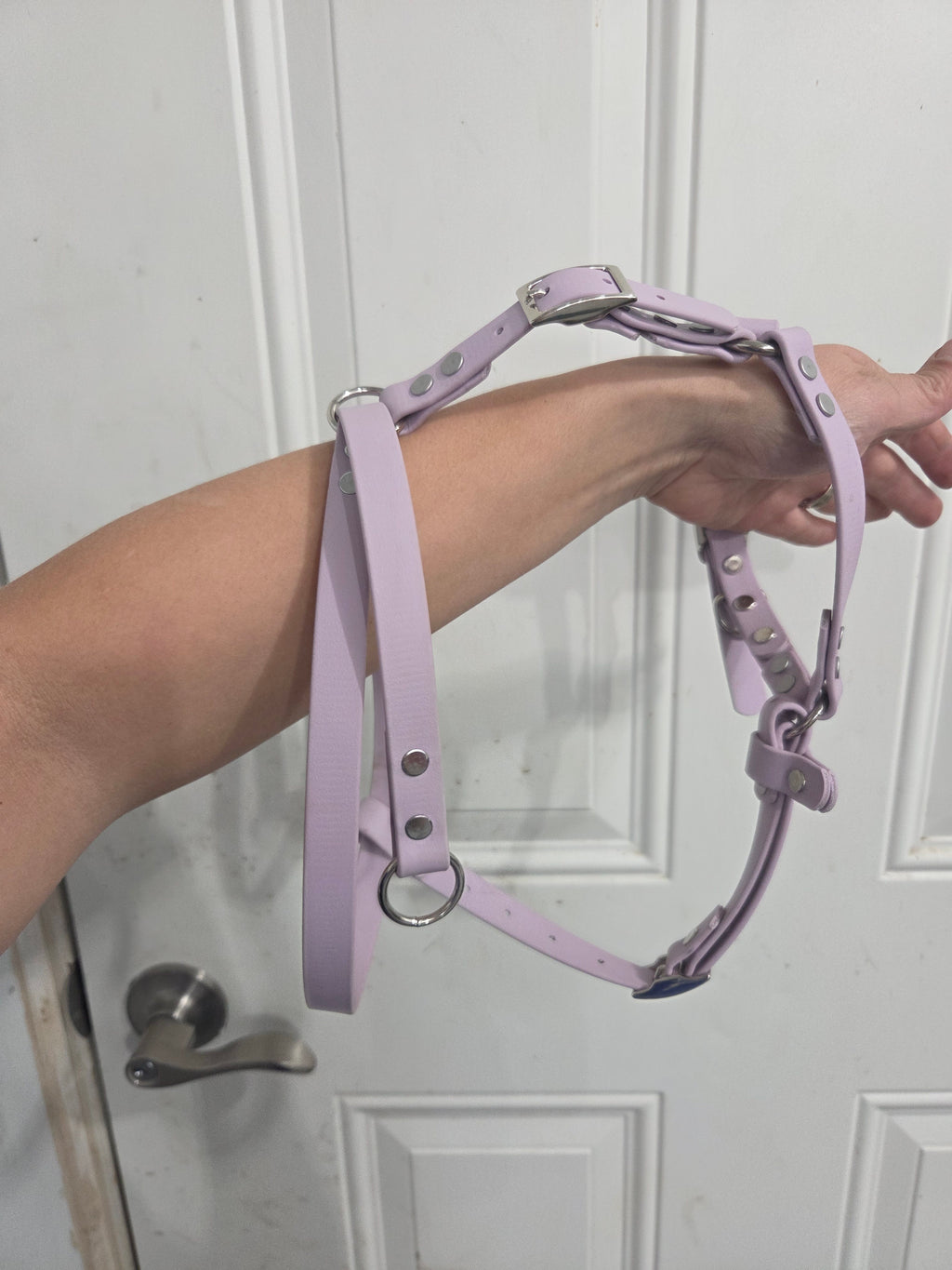 Genesis No-Pull Harness