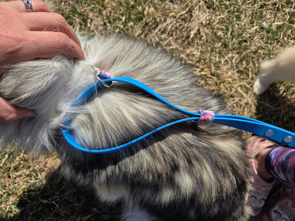 Martingale