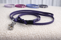 First Leash