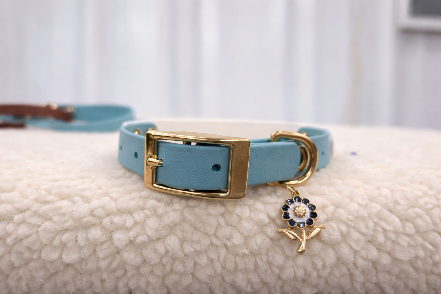 Essential Dog Collar