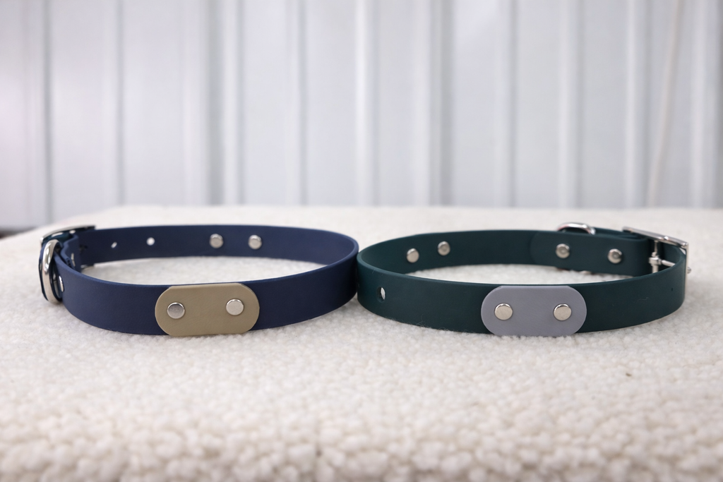 Essential Dog Collar