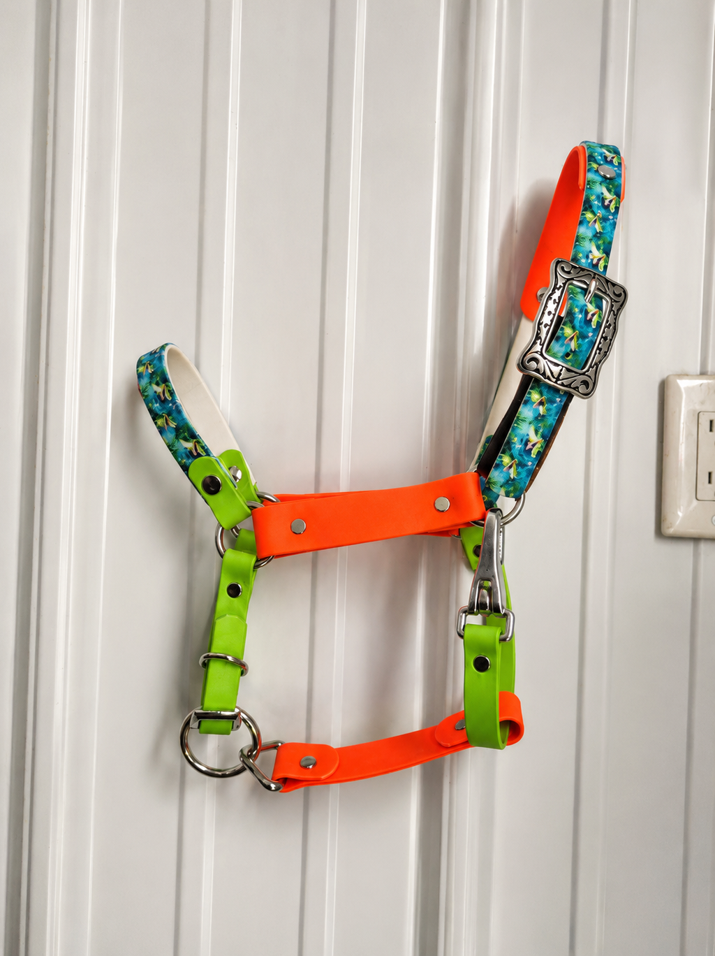 Halter, Bridle or Reins