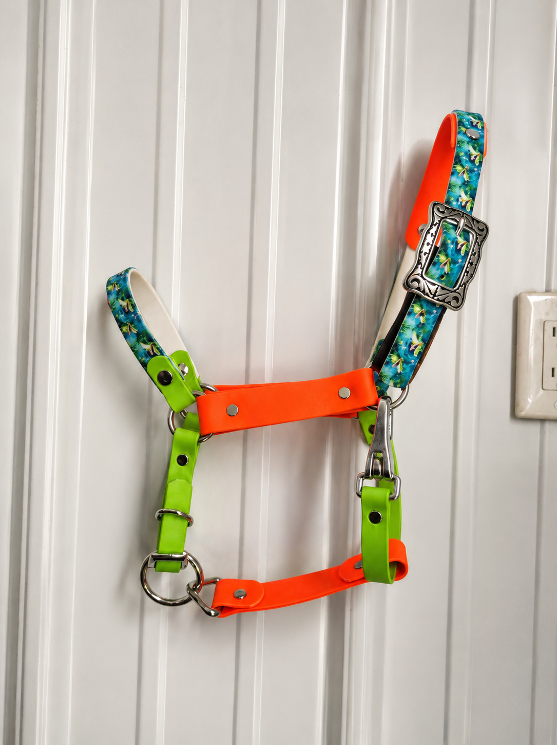Halter, Bridle or Reins